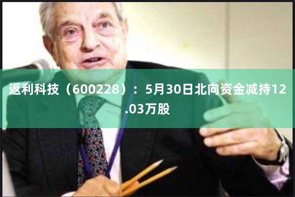 返利科技（600228）：5月30日北向资金减持12.03万股