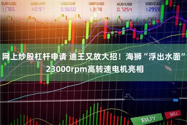 网上炒股杠杆申请 迪王又放大招！海狮“浮出水面” 23000rpm高转速电机亮相