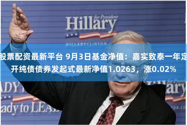 股票配资最新平台 9月3日基金净值：嘉实致泰一年定开纯债债券发起式最新净值1.0263，涨0.02%