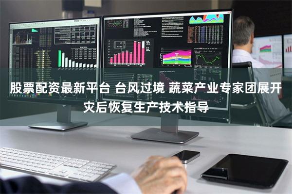 股票配资最新平台 台风过境 蔬菜产业专家团展开灾后恢复生产技术指导