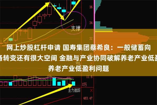 网上炒股杠杆申请 国寿集团蔡希良：一般储蓄向养老储备转变还有很大空间 金融与产业协同破解养老产业低盈利问题