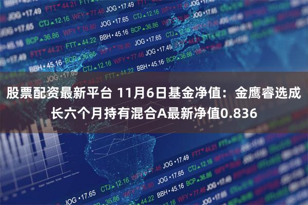 股票配资最新平台 11月6日基金净值：金鹰睿选成长六个月持有混合A最新净值0.836