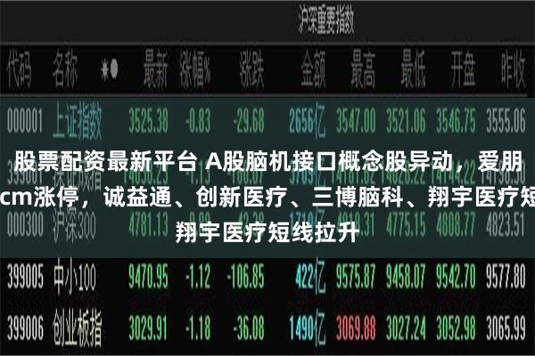 股票配资最新平台 A股脑机接口概念股异动，爱朋医疗20cm涨停，诚益通、创新医疗、三博脑科、翔宇医疗短线拉升