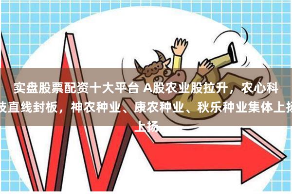 实盘股票配资十大平台 A股农业股拉升，农心科技直线封板，神农种业、康农种业、秋乐种业集体上扬