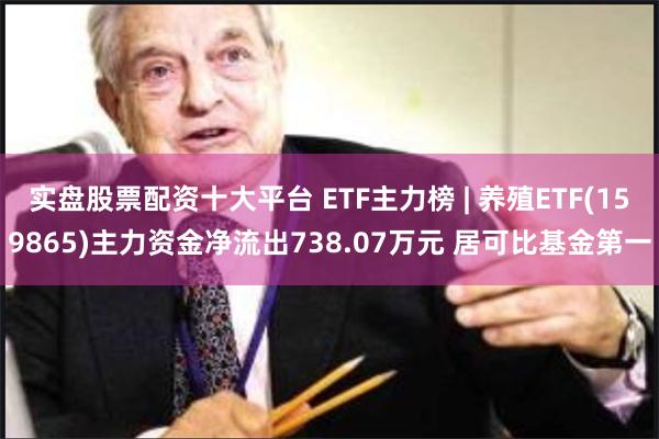 实盘股票配资十大平台 ETF主力榜 | 养殖ETF(159865)主力资金净流出738.07万元 居可比基金第一